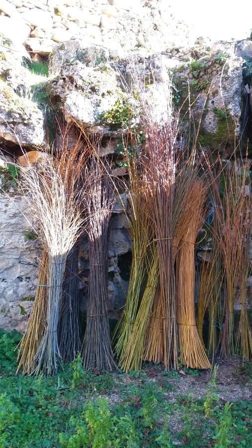 L'Oseraie Du Quercy Calvignac Kültér fotó